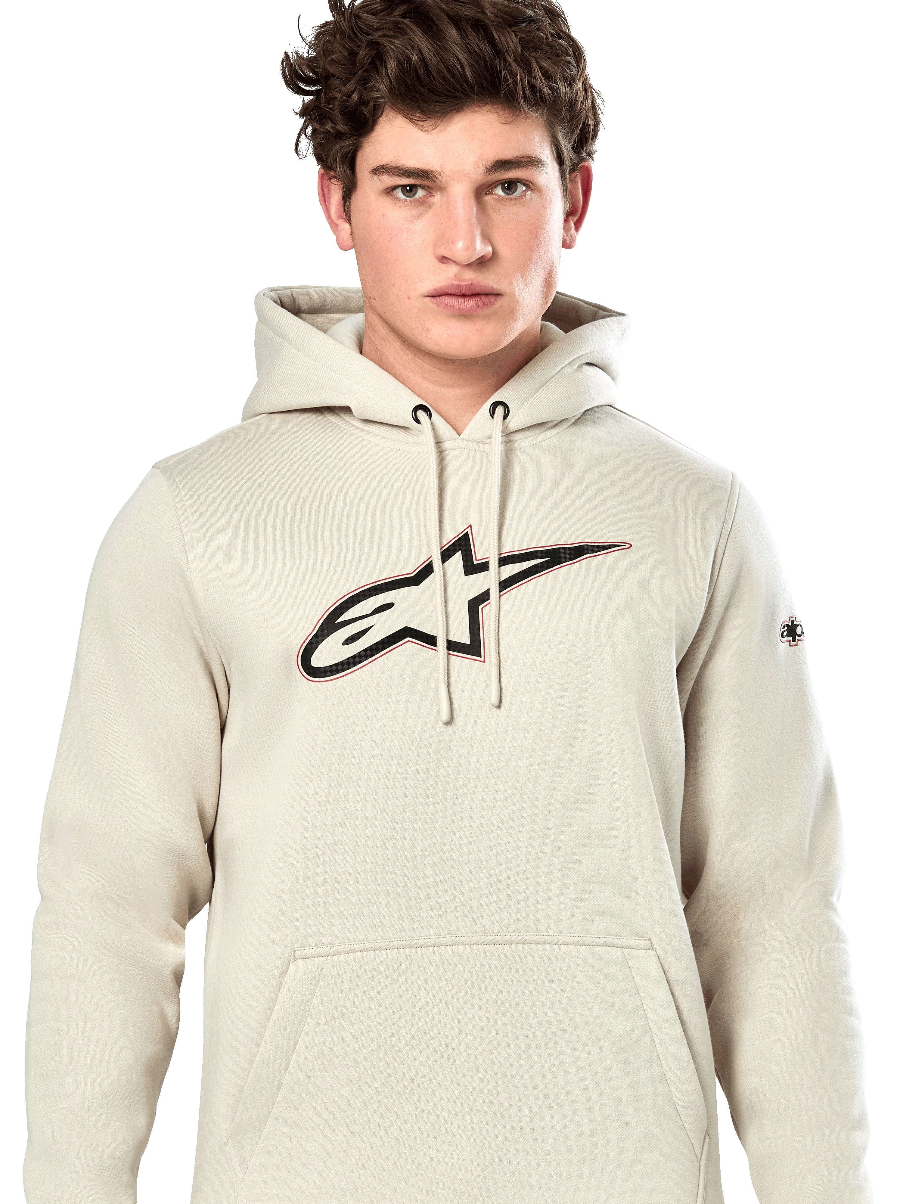Sudadera Con Capucha Insignia - Image 4